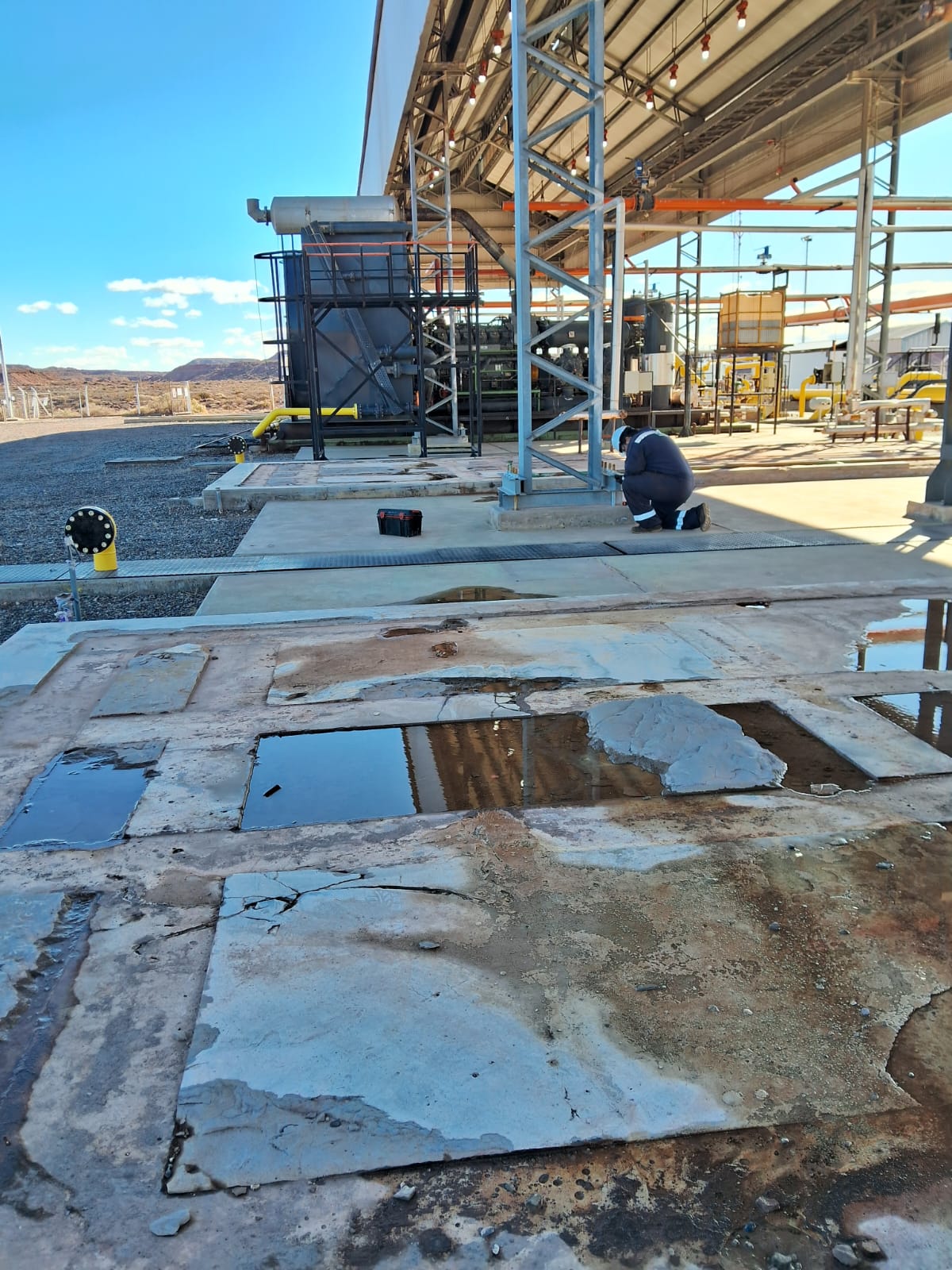 WhatsApp Image 2025-08-07 at 12.31.25 (1)