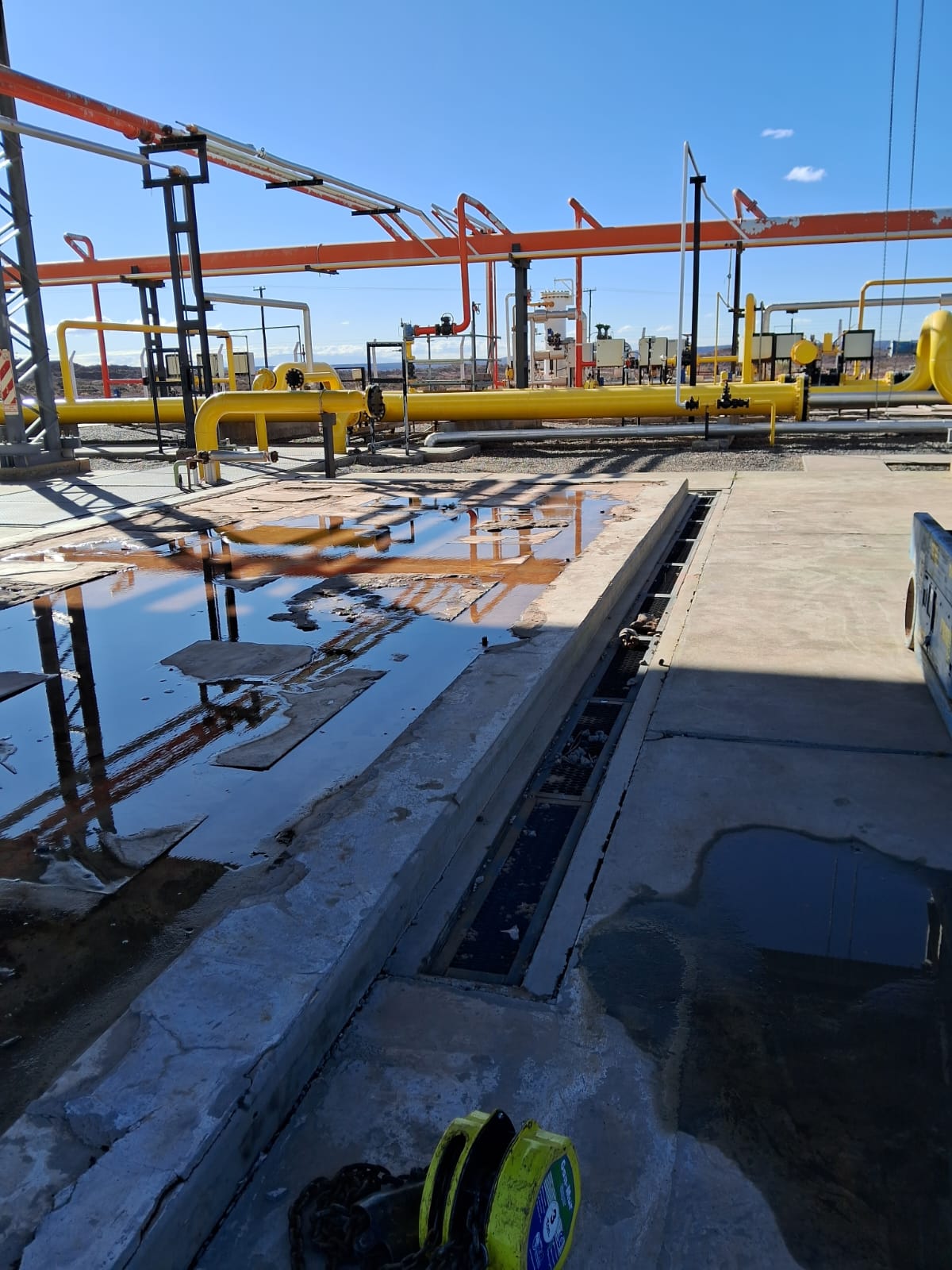 WhatsApp Image 2025-08-07 at 12.31.26